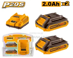P20s Lithium-Ion Battery and Charger Kit - Fbcpk1222