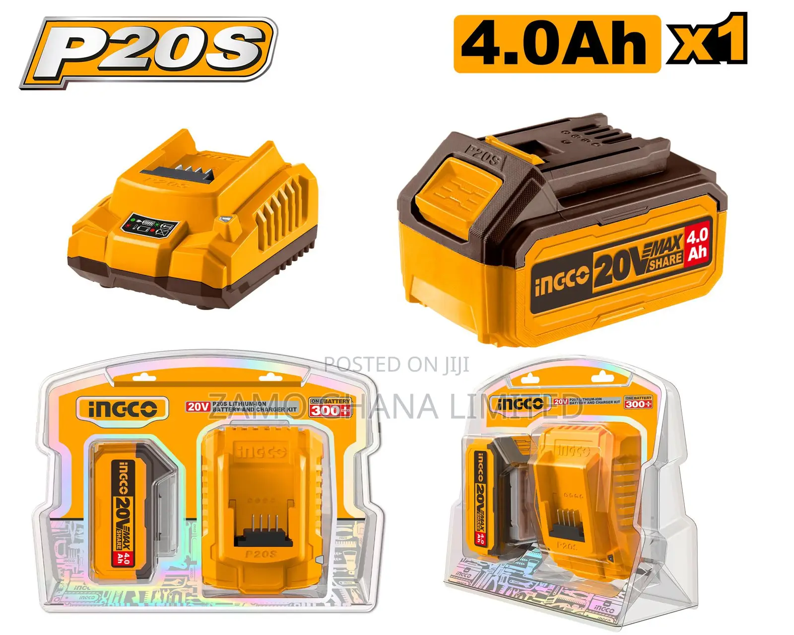 P20s Lithium-Ion Battery 4ah and Charger Kit - Fbcpk1214