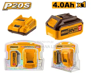 P20s Lithium-Ion Battery 4ah and Charger Kit - Fbcpk1214