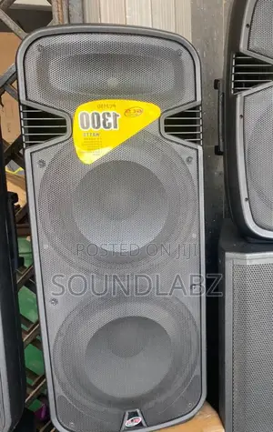 GLS Full Range Bluetooth Speaker With Two Microphones