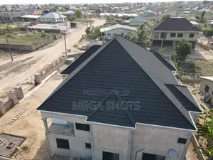 Drone and Pilot Service