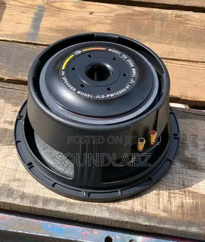 JLD-Pw12204-0112inch Double Magnet Line Array Naked Speaker