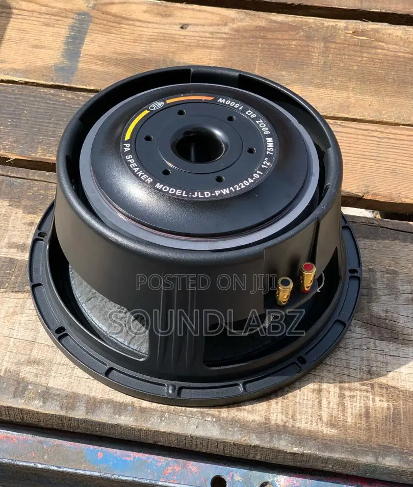 JLD-Pw12204-0112inch Double Magnet Line Array Naked Speaker