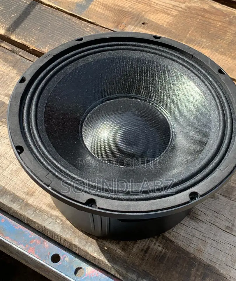 JLD-Pw12204-0112inch Double Magnet Line Array Naked Speaker