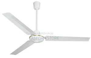 Focus Ceiling Fan Long Blade
