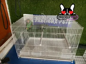 White Jardine Cage for Parrots