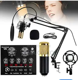 Bm 800 Condenser Microphone and V8 Sound Card
