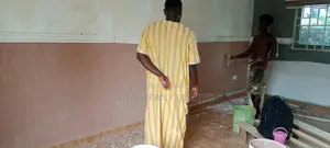 Acrylic Waterproof Graffiato Paint and Works