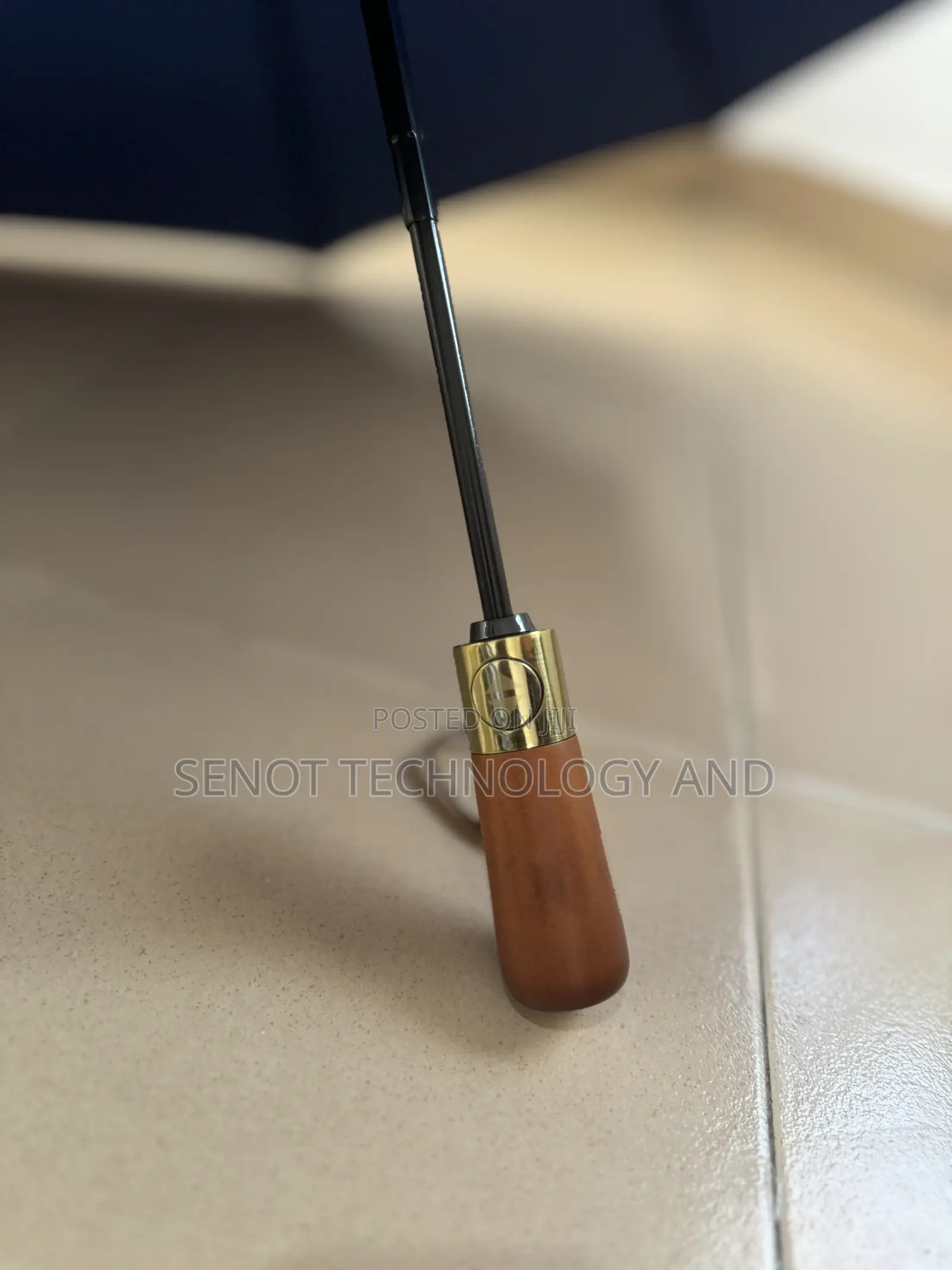 Foldable Umbrella