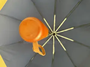 Foldable Umbrella