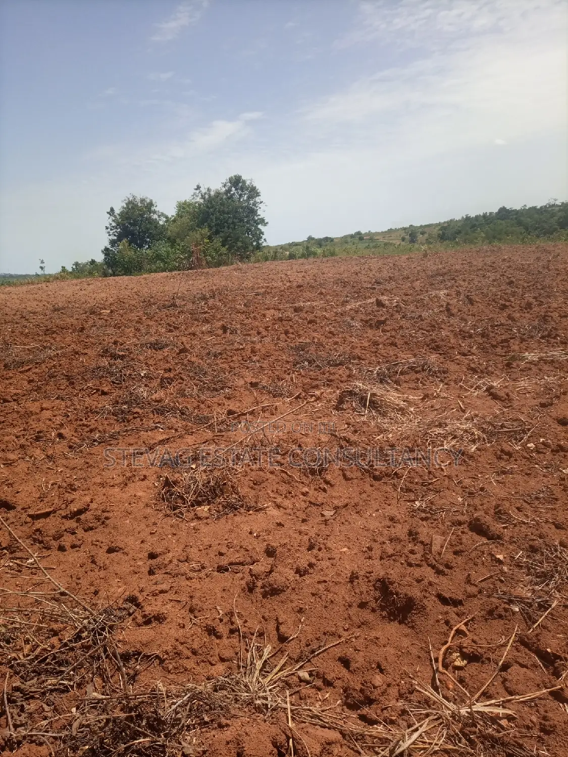 Alpha Properties Estate Land for Sale at Kasoa Buduatta