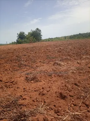 Alpha Properties Estate Land for Sale at Kasoa Buduatta