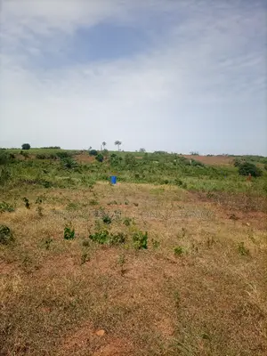 Alpha Properties Estate Land for Sale at Kasoa Buduatta