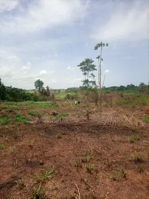 Alpha Estate Land for Sale at Kasoa Buduatta