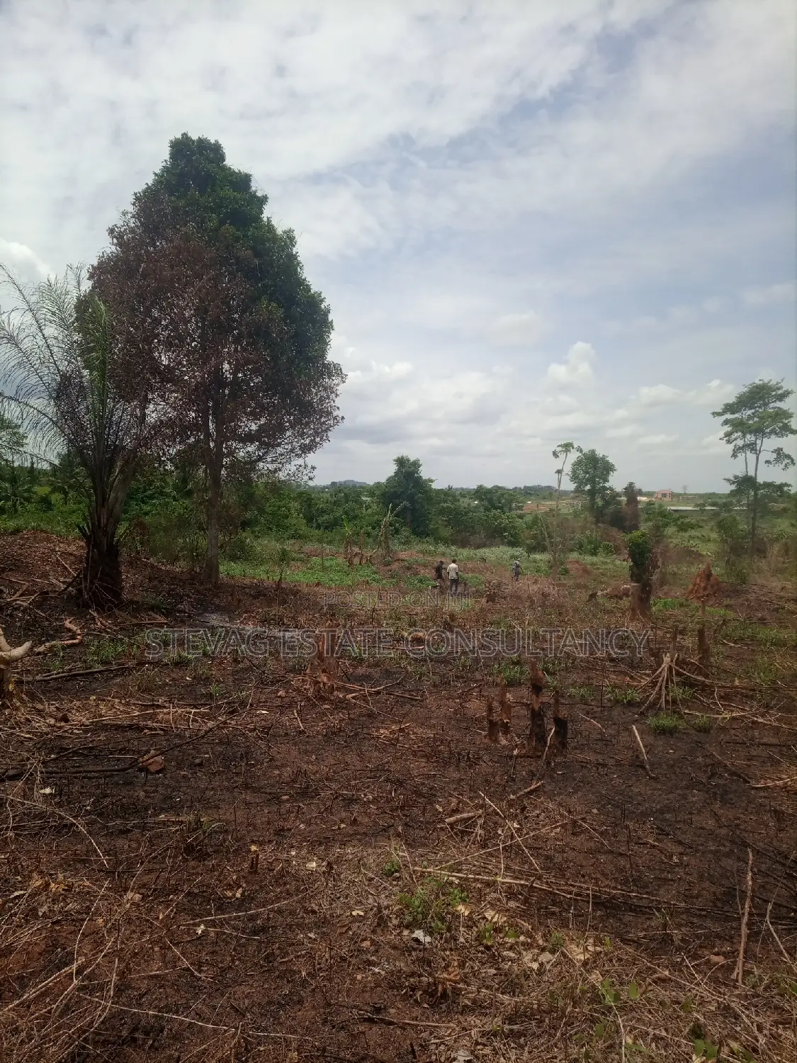 Alpha Estate Land for Sale at Kasoa Buduatta