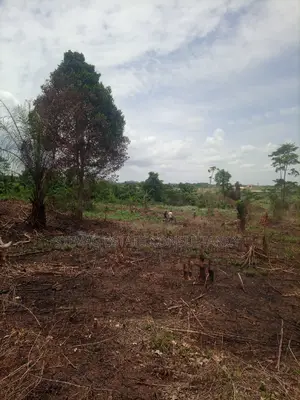 Alpha Estate Land for Sale at Kasoa Buduatta