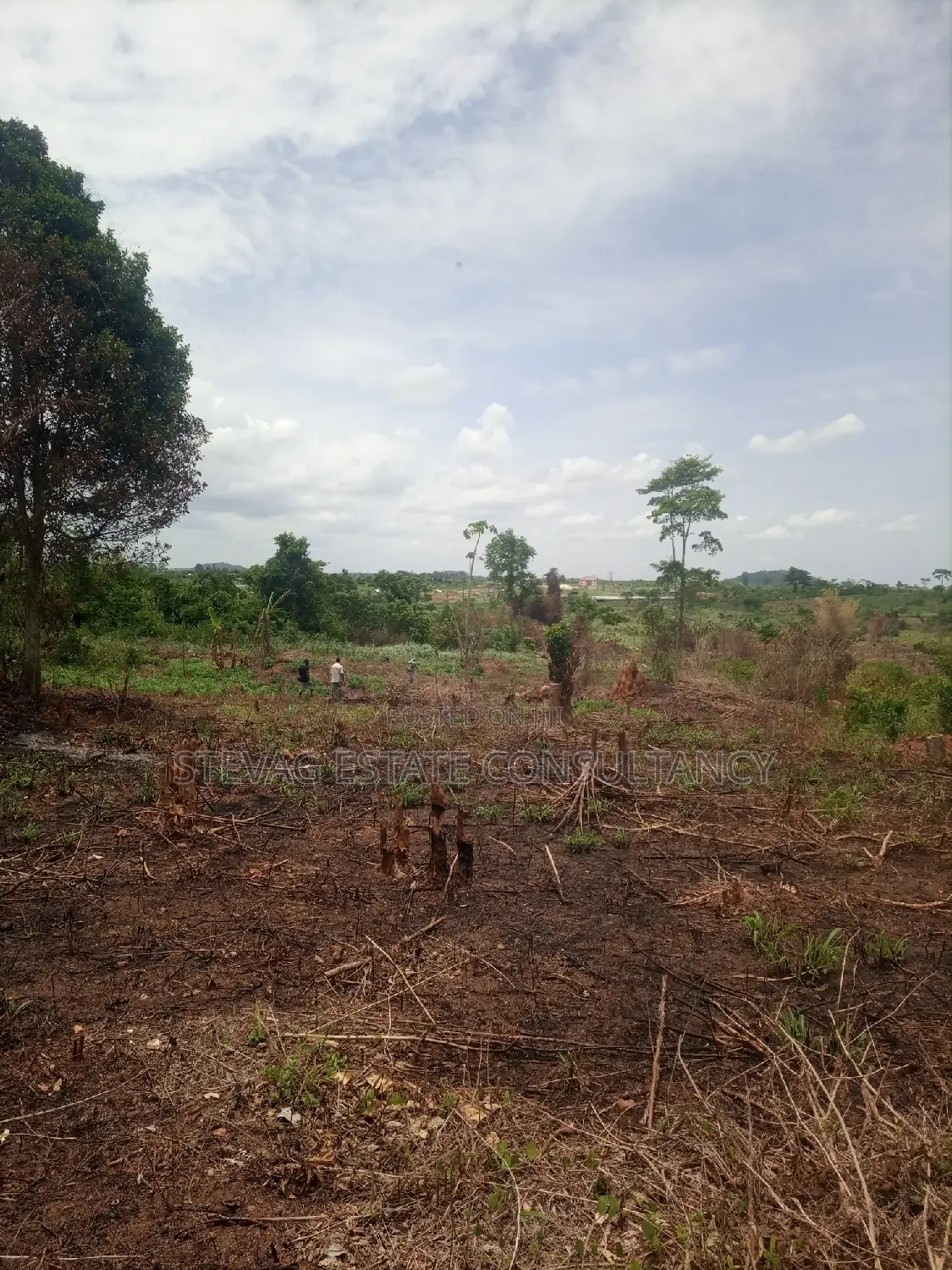 Alpha Estate Land for Sale at Kasoa Buduatta