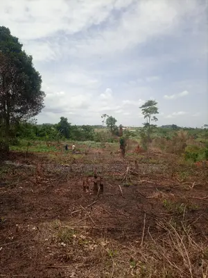 Alpha Estate Land for Sale at Kasoa Buduatta
