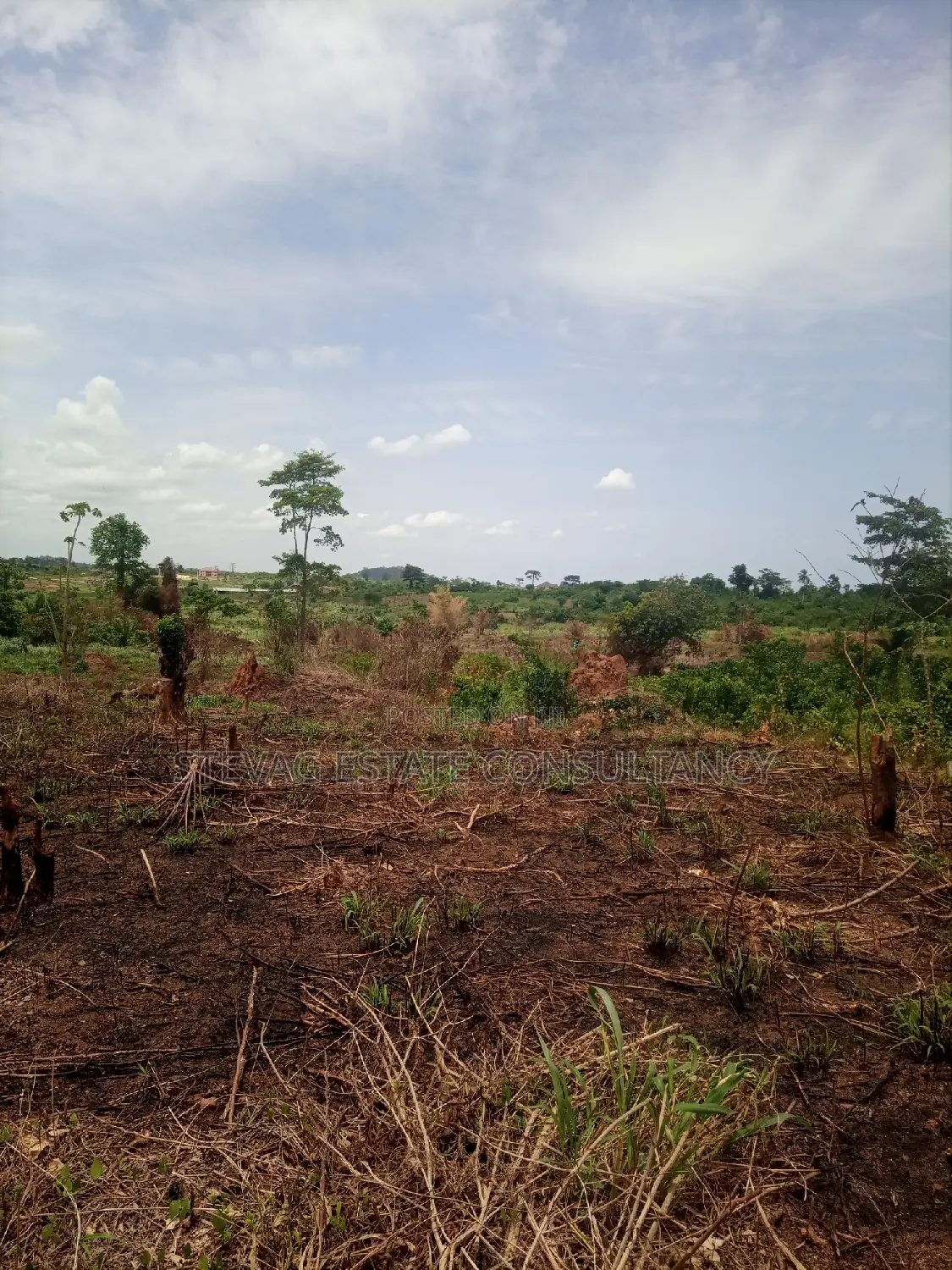 Alpha Estate Land for Sale at Kasoa Buduatta