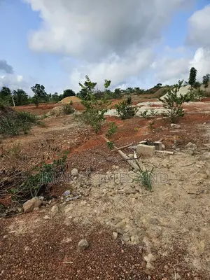Estate Lands for Sale, No Litigation