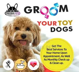 Precieux Pets Grooming Service 001