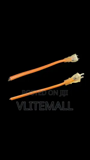 110 Two Pin Plug
