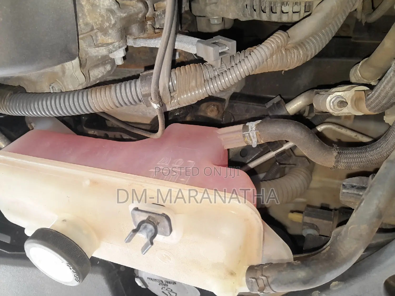 Coolant for All Cars