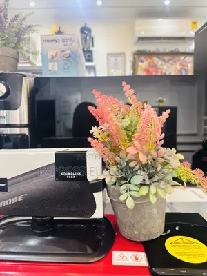 Very Awesome New Bose Sound Flex