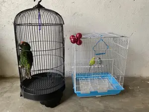 2 Cages for Parrots