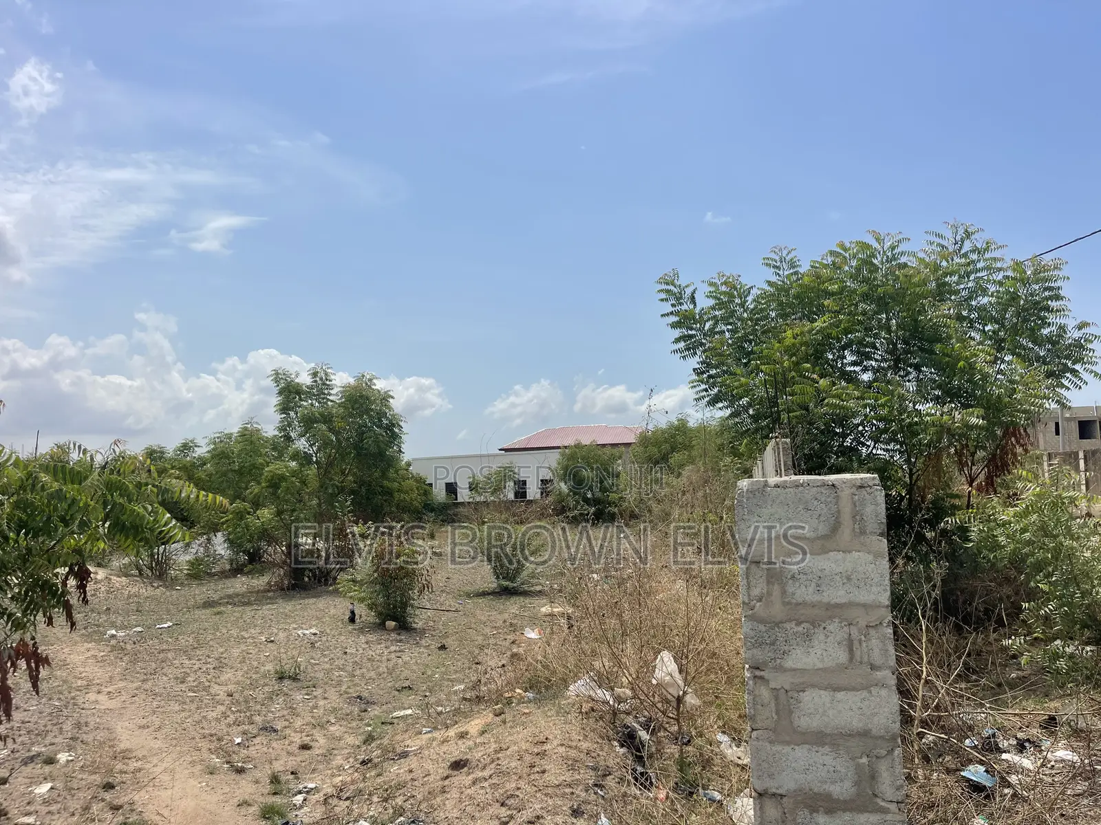 Buy 2 Plots of Land for Sale at West Trasacco Borteyman
