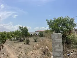 Buy 2 Plots of Land for Sale at West Trasacco Borteyman