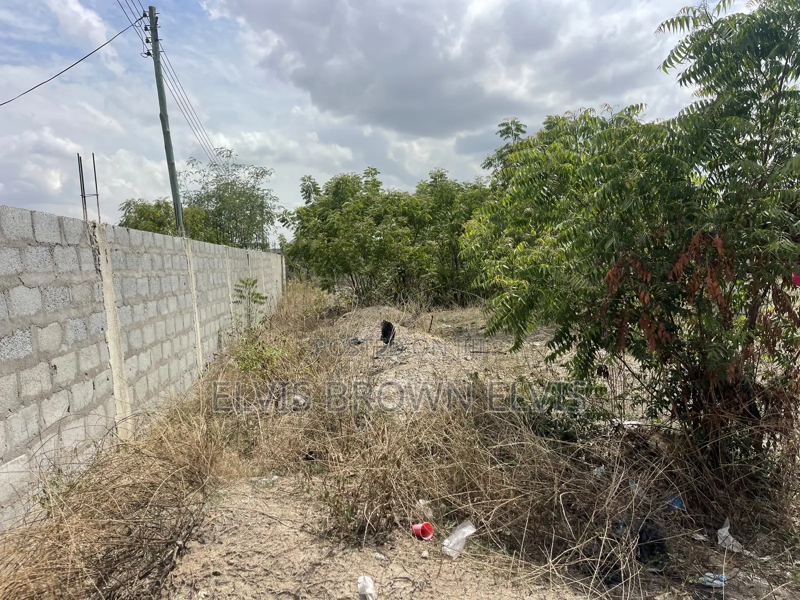 Buy 2 Plots of Land for Sale at West Trasacco Borteyman