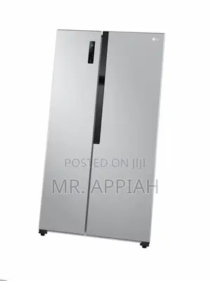 Sleek Design LG GCFB507PQAM Side by Side Fridge.