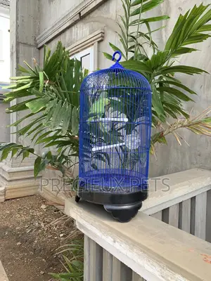 Blue Cone Cage for Parrots