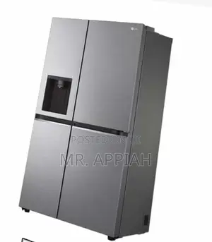 Well Design LG Side by Side ElectricFridge(GC-J287squv)668l