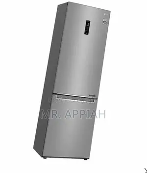 Sleek Design LG GC-B459NLHM Double Door Fridge(374ltr).