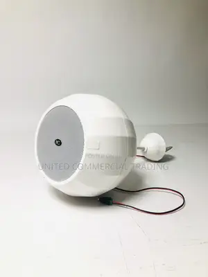 Wide Coverage Pendant Speaker
