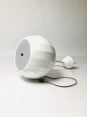 Wide Coverage Pendant Speaker