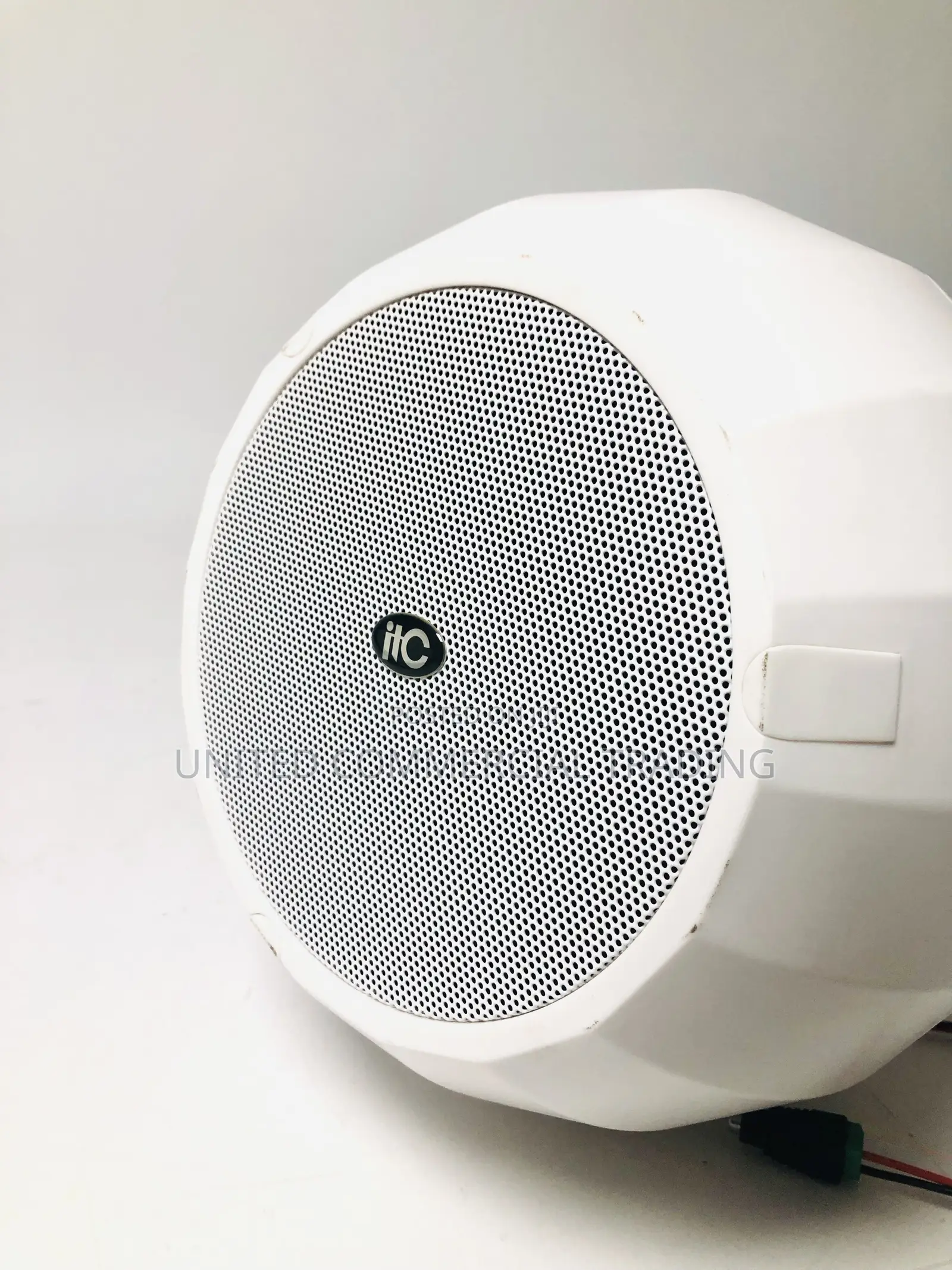 Wide Coverage Pendant Speaker