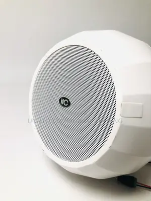 Wide Coverage Pendant Speaker