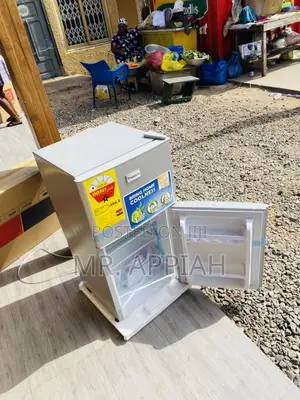 Quality(Nasd2-120)Nasco 2 Door Electric Fridge,Gray.