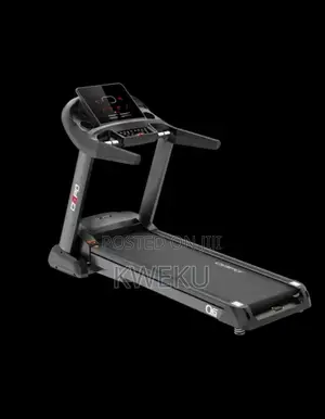 USA Life Care Luxury Big Treadmill