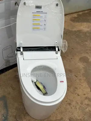 Smart Intelligent Water Closet