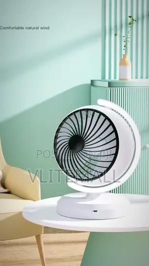 Globe Circulating Fan