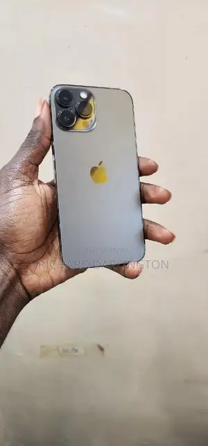 Apple iPhone 12 Pro 256 GB Gray