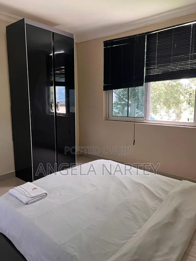 Furnished 2bdrm Apartment in East Legon for sale