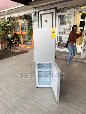 Quality Nasco Double Door Electric Refrigerator Nas 2-20fl.