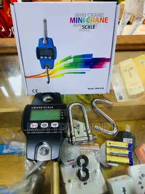 Mini Crane Scale 300kg