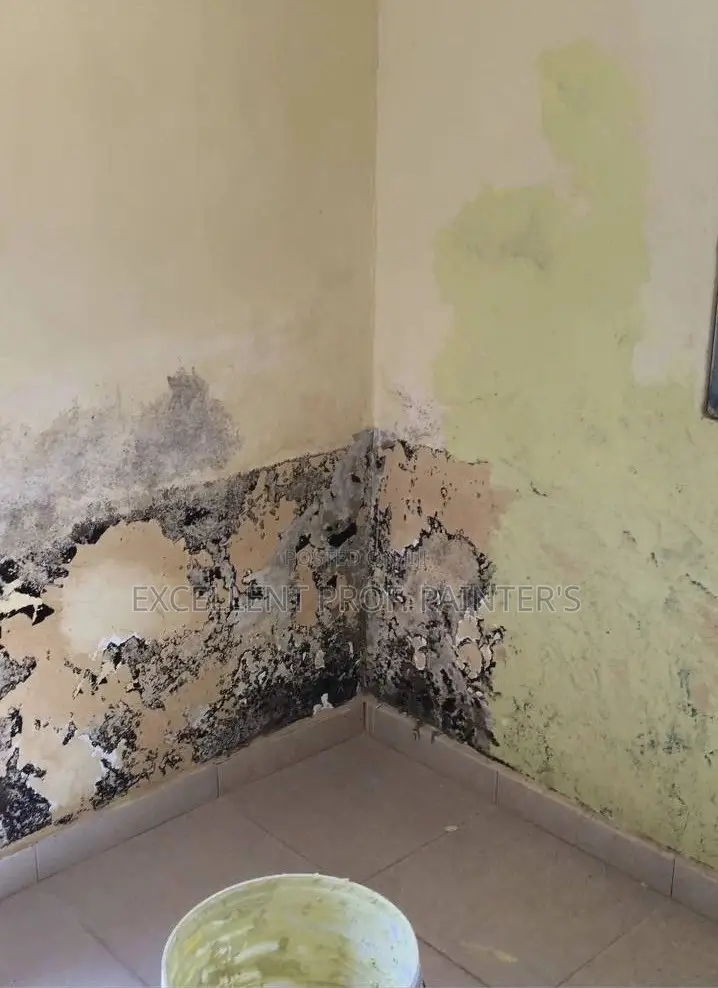 Painting Services