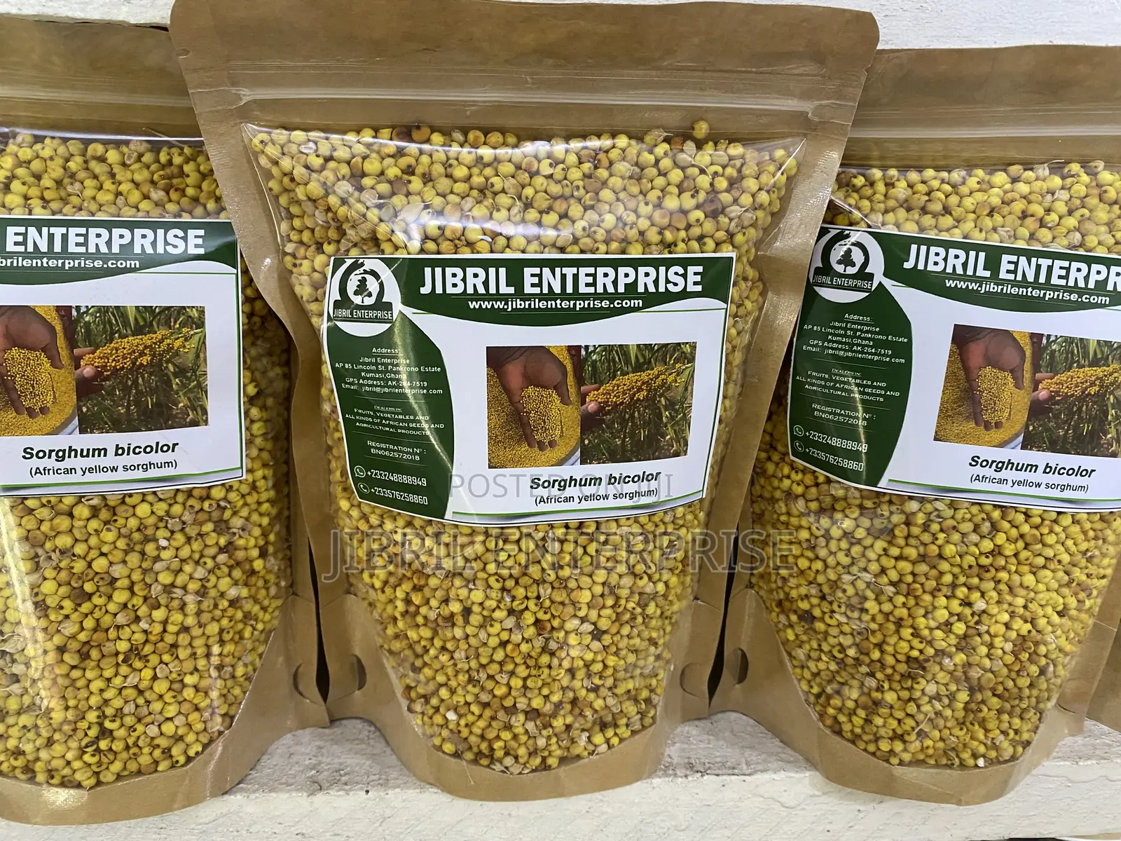 African Yellow Sorghum, Non Hybrid, Medium Yield Variety